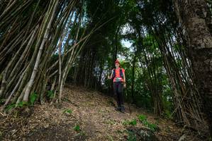 BIB: 
                            <button type="button" onclick="openModal(19395748)" class="btn btn-primary btn-sm float-right btn-popup" data-toggle="modal" data-target=".modal-high-quality">
                        <i class="fas fa-shopping-cart"></i> Add to Cart
                    </button>
                                            <button type="button" onclick="isThisMe(19395748, true)" class="btn btn-success btn-sm float-right btn-popup btn-isme hidden" data-toggle="tooltip" data-placement="bottom" title="นี่คือรูปของคุณใช่ไหม คลิกที่นี่เพื่อเอาเข้าอัลบั้ม">
                        <i class="fas fa-plus"></i> Add to album
                    </button>
                    <button type="button" onclick="isThisMe(19395748, false)" class="btn btn-warning btn-sm float-right btn-popup btn-isnotme hidden">
                        <i class="fas fa-ban"></i> Remove from album
                    </button>